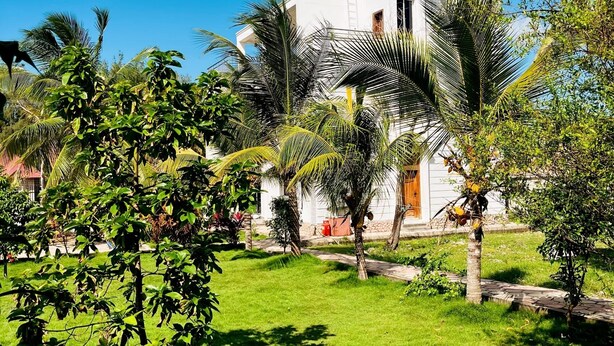Property grounds - Palm Residence retreat in Paje (Paje)