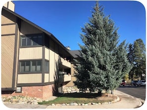 Exterior - BreckenRoost - Prime town/Ski location! (Breckenridge)