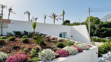 Un edificio moderno con fachada blanca, un jardín ajardinado con diversos arbustos y flores, y un cielo despejado.