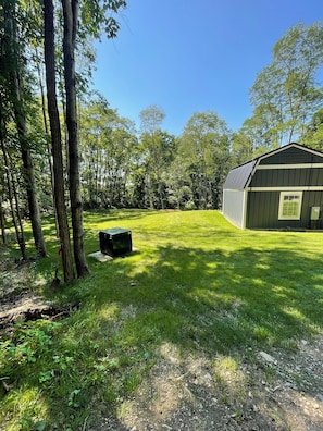 A grassy yard with a shed and trees.
