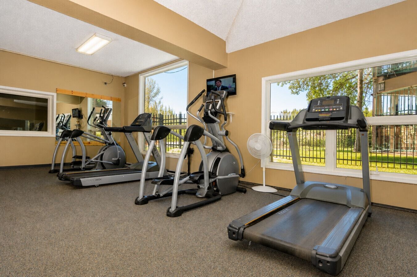 A gym with treadmills, elliptical machines, and a fan, with large windows and a view of a park.