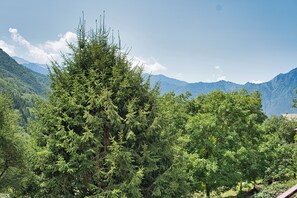 Un bosque denso con una cadena montañosa al fondo.