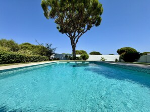 Una piscina azul cristalina con un árbol al fondo.