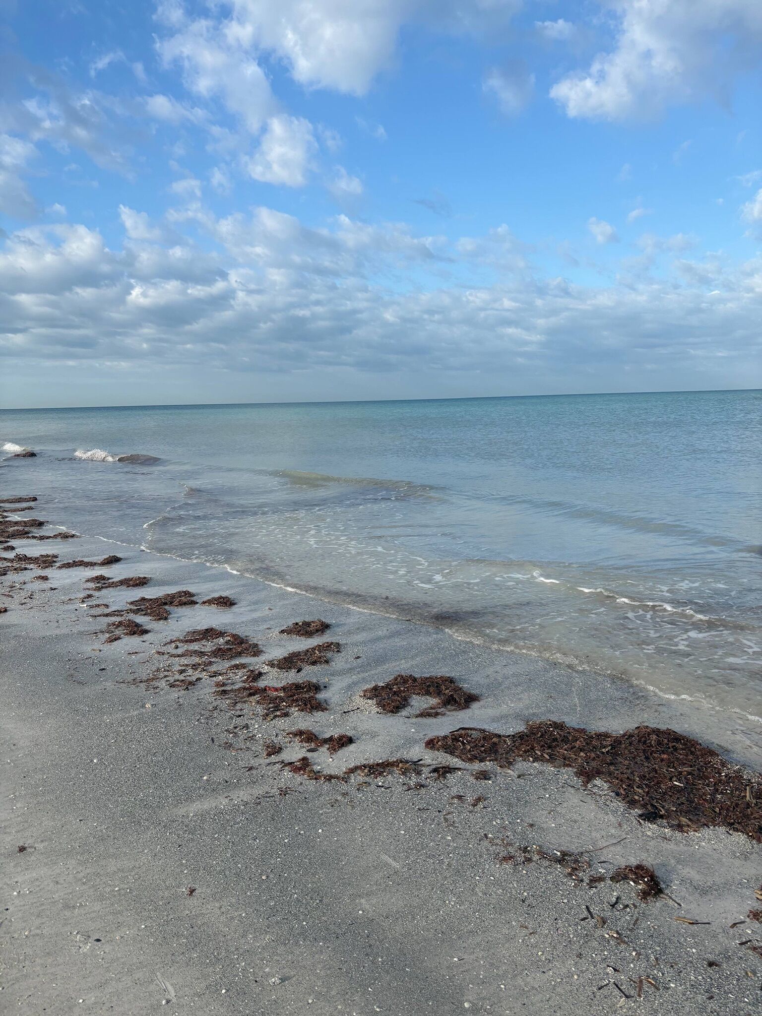 Ein Strand mit blauem Himmel und ruhigem Wasser.