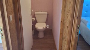 Shower, hair dryer, towels, toilet paper