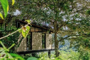 Ein modernes Baumhaus mit Holzfassade, großen Fenstern und Blick auf einen üppigen Wald.