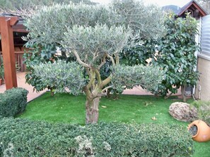 Ein gepflegter Garten mit einem großen Baum, ordentlich geschnittenen Hecken und einem rustikalen Sitzbereich im Freien.