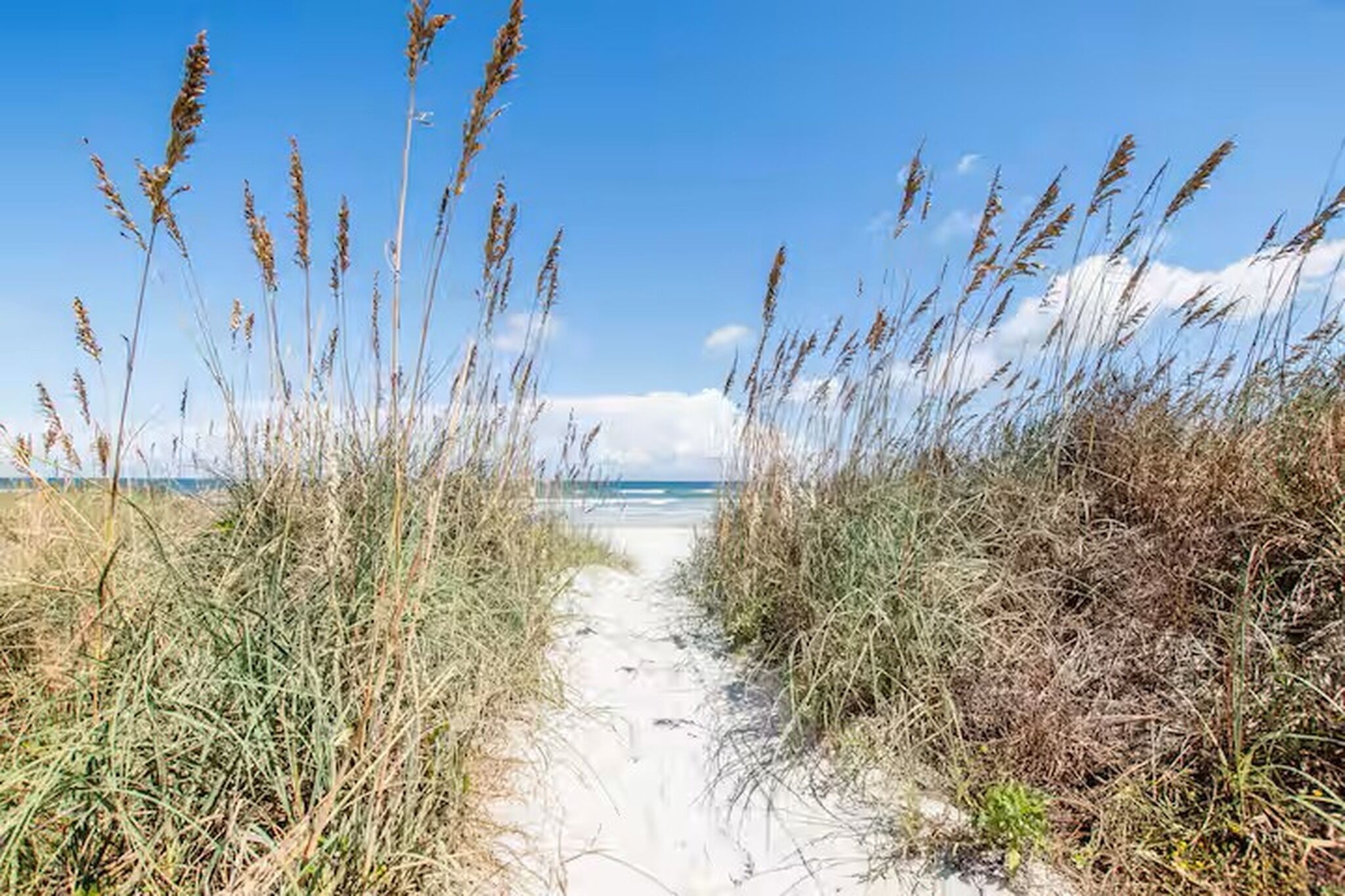 A sandy path leading to the beach with tall grasses on either side.