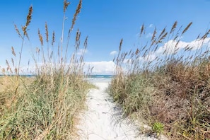 Un sentier sablonneux menant à la plage, bordé de hautes herbes de chaque côté.