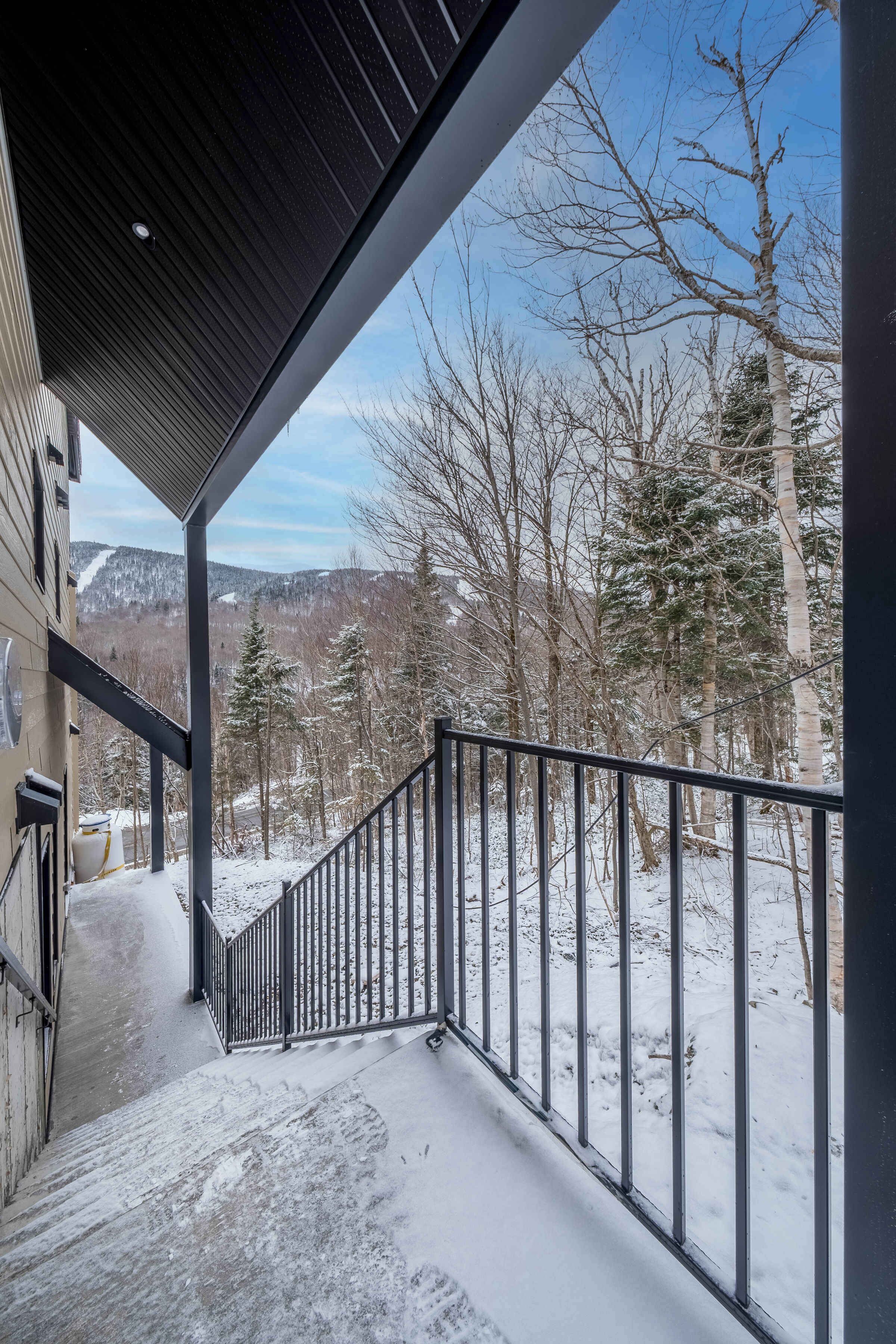 A covered outdoor area with a metal railing, snow-covered ground, and a view of a forested landscape with trees and distant mountains.