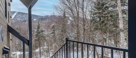 A covered outdoor area with a metal railing, snow-covered ground, and a view of a forested landscape with trees and distant mountains.