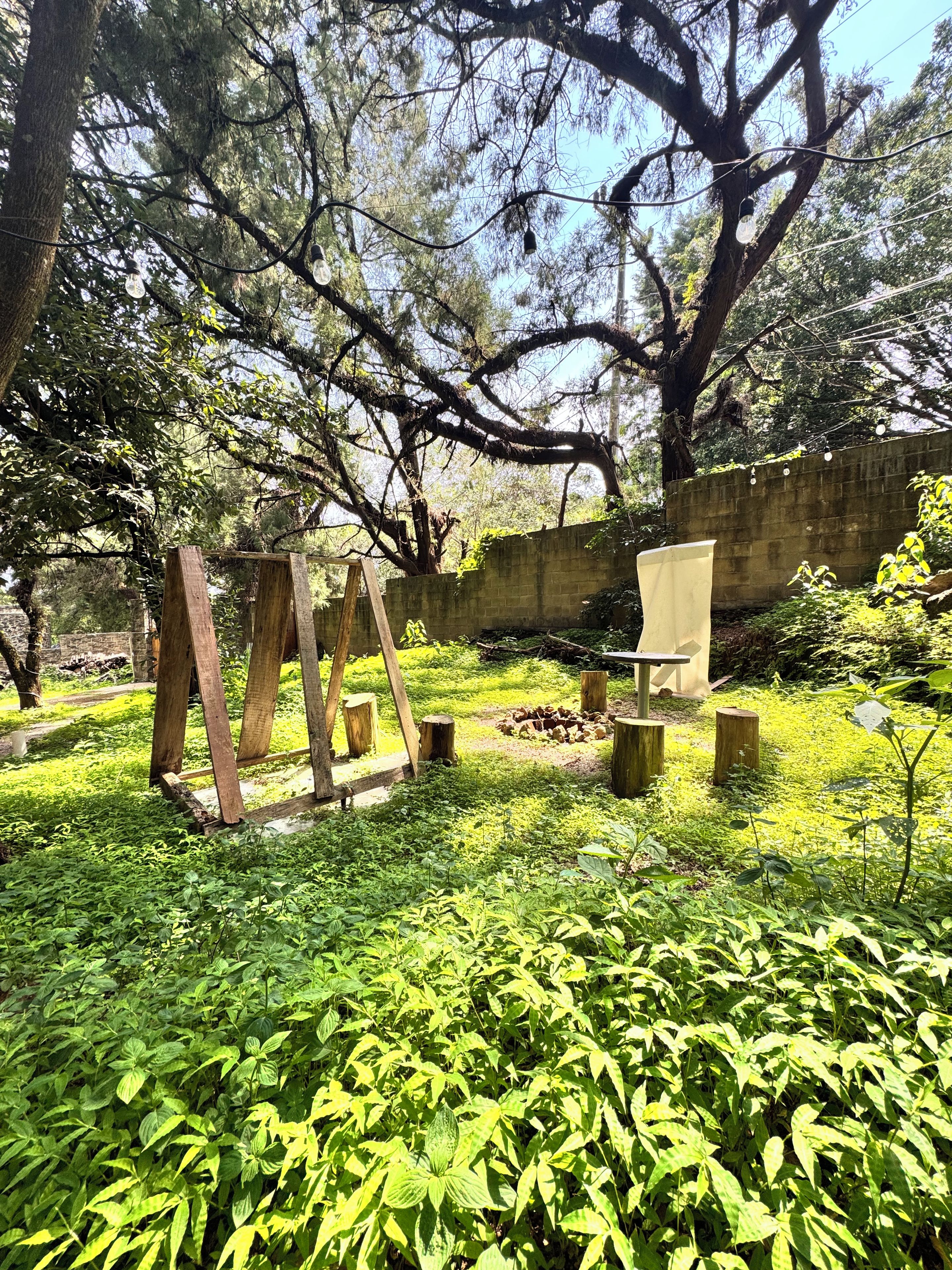 Un jardin avec une balançoire en bois, une table et un banc placés sous de grands arbres.