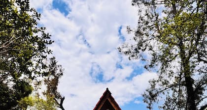 ✨ A Magical Villa in Tepoztlán: Nature, Relaxation, and a Unique Experience.