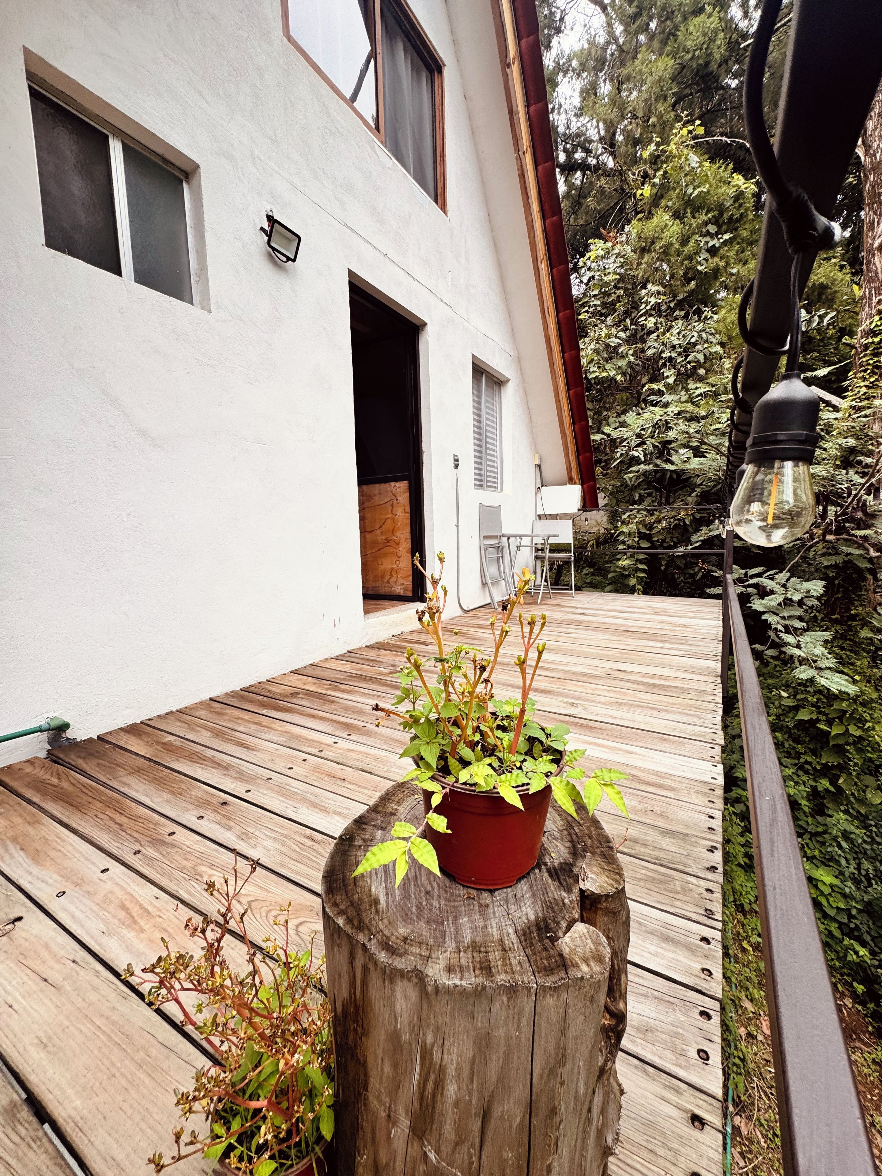 Eine Holzterrasse mit einem Blumentopf, einem Stuhl und einem Tisch.