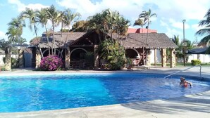 A swimming pool with a thatched-roof structure and palm trees in the background.