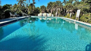 A clear blue pool with lounge chairs and palm trees in the background. - Shovel Sand, Not Snow! You've found your Sanibel Island retreat! Secluded near-beach Strangler Fig home has it all.  Pet-friendly, too! (Sanibel)