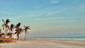 A beach with palm trees and a clear sky. - Surf Sound - Luxury 4BR Sanibel Home, Heated Pool, Cabana 5-Min Walk to Beach (Sanibel)