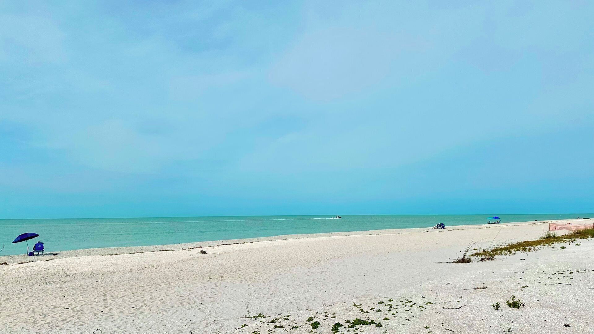 A beach with a clear sky, sandy shore, and a few people and umbrellas.