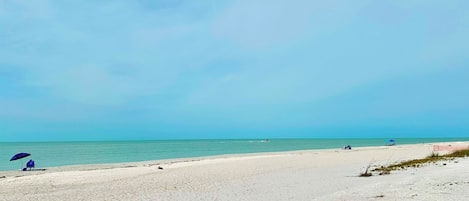 海灘