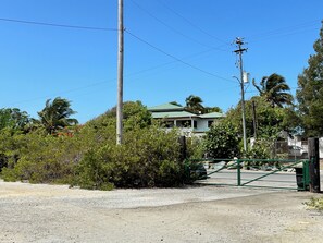 A house with a green roof, surrounded by dense vegetation and a gravel driveway.