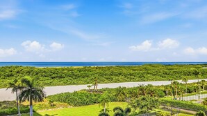 Eine Küstenlandschaft mit üppiger Vegetation, einem Strand und blauem Himmel.