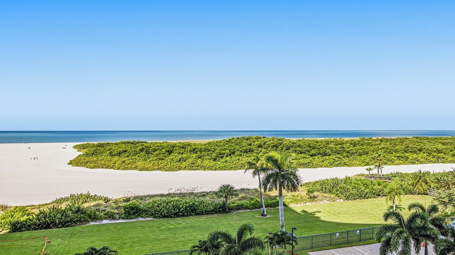 A beach view with a clear sky, a sandy beach, and a lush green area with palm trees.