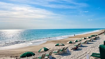 Une plage bordée de rangées de chaises longues et de parasols, un ciel dégagé et l’océan.