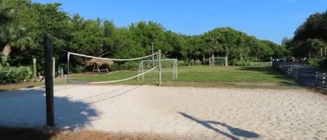 En volleyballbane med net, omgivet af sand og grøn vegetation.