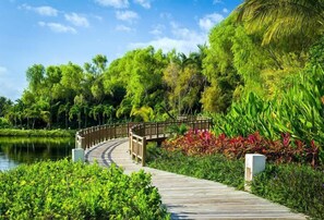 Ein hölzerner Steg führt zu einer Brücke über ein Gewässer, umgeben von üppiger Vegetation und tropischen Pflanzen.