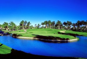 Ein Golfplatz mit einem Wasserhindernis, Palmen und blauem Himmel.