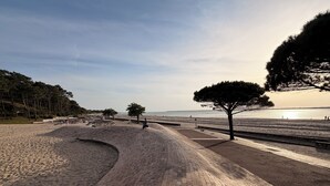 Un sendero pavimentado junto a una playa, con árboles y cielo despejado.
