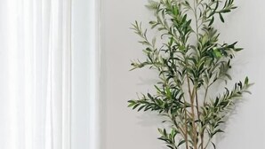Una habitación con un sillón gris, un cojín colorido, una planta alta en maceta y un armario blanco.