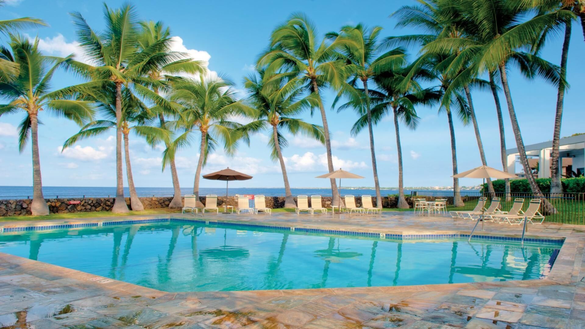 A pool with clear blue water, surrounded by palm trees and lounge chairs, with a view of the ocean.