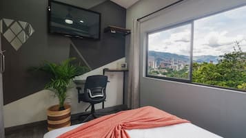Habitación, 1 cama doble, baño privado | Escritorio, espacio para trabajar con un portátil, wifi gratis