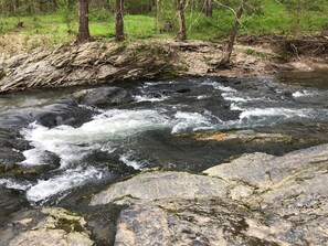A river flowing over rocks with a grassy area and trees in the background. - The Wilson Pine- A Private Cabin Retreat (Norman)