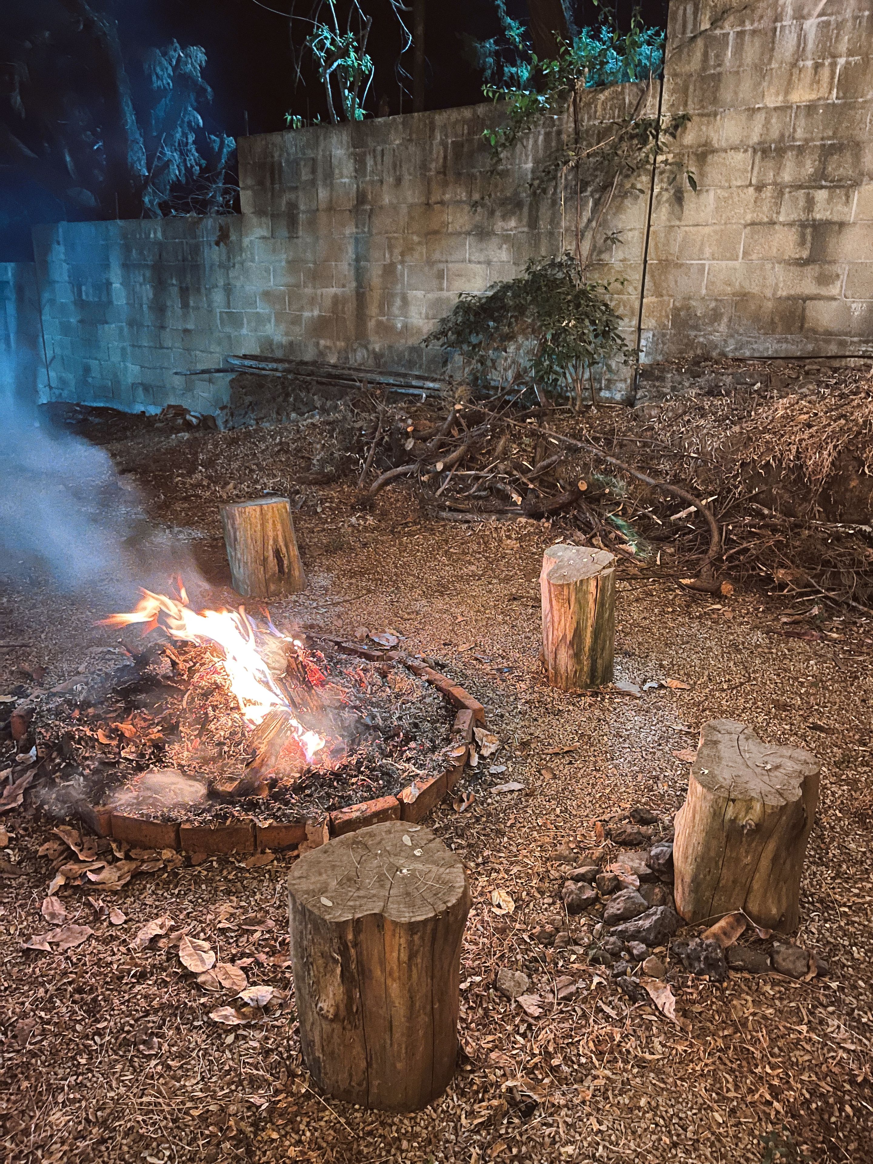 Un feu de camp entouré de souches d’arbres et de feuilles mortes sur le sol.