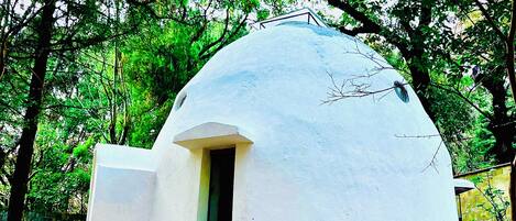 A dome-shaped structure with a small window, surrounded by trees and dry leaves on the ground.