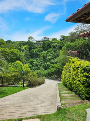 A paved pathway leading through a lush garden with dense greenery and a clear blue sky. - Casa com piscina e jardim em Joao F. (Buzios)