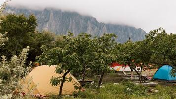 A campsite with tents and trees, a mountain in the background, and a cloudy sky.