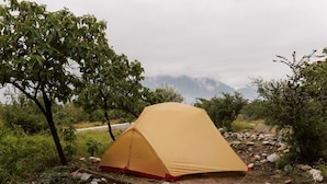 A single yellow tent set up on a rocky terrain with sparse vegetation, a tree to the left, and a mountain in the background.