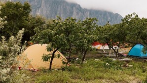 A campsite with tents and trees, set against a mountainous backdrop.