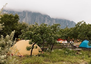 Un terrain de camping avec des tentes et des arbres, situé dans un cadre montagneux.