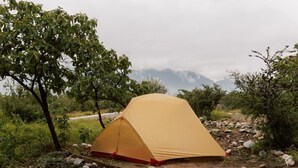 A single yellow tent set up on a rocky terrain with sparse vegetation, a tree to the left, and a mountain in the background.
