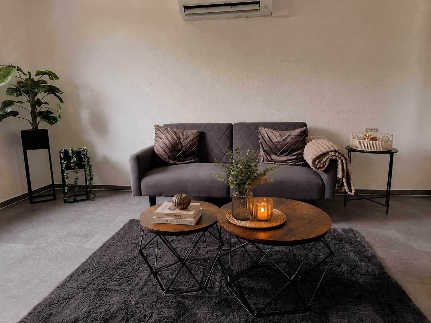 Ein Wohnzimmer mit einem grauen Sofa, zwei Couchtischen, einer Topfpflanze und einem kleinen Beistelltisch.