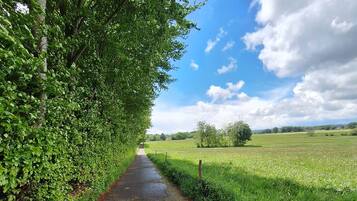 A paved pathway flanked by lush greenery and a clear blue sky.