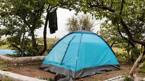 A blue tent set up in a natural environment with trees and a concrete border.