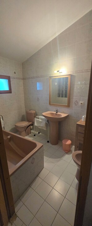 Shower, hair dryer, bidet, toilet paper - Charming home with breathtaking views (Taglio-Isolaccio)