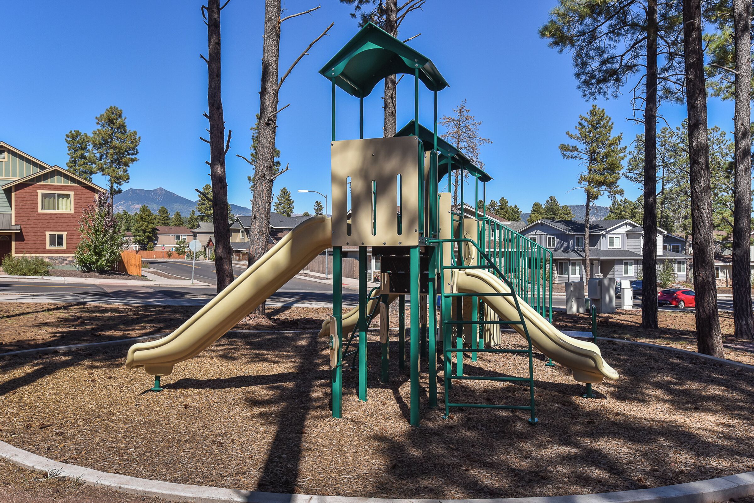 Un parque infantil con dos toboganes y una estructura para escalar, rodeado de árboles y casas residenciales.
