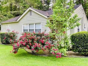 A single-story house with a gabled roof, a number '187' on the side, and a well-maintained lawn with flowering bushes. - Pet-Friendly Home Near Dragon Con & Downtown (Atlanta)