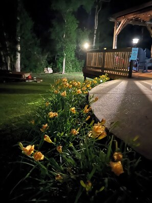 Un espacio al aire libre de noche con un camino empedrado, un banco de madera y flores amarillas en primer plano.